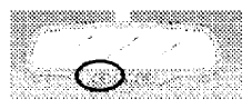 G09257024