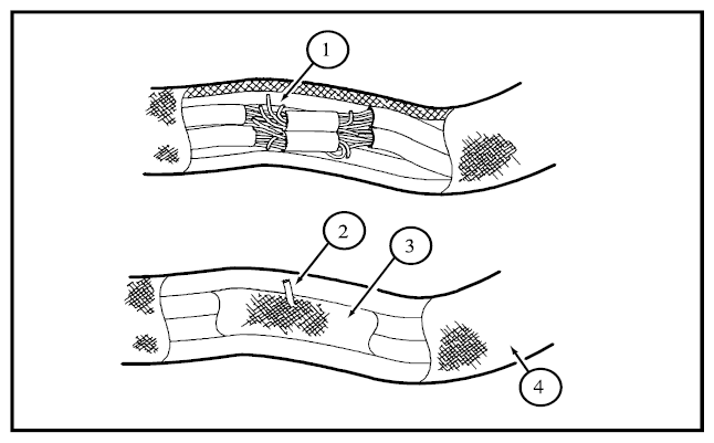 G09259536