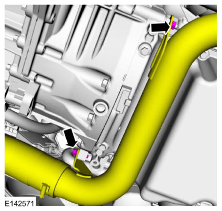 G09600025