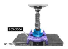 G09699344