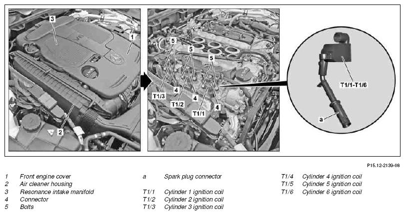 G10247856