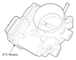 G10607908