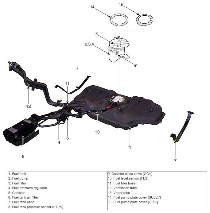 G10749954