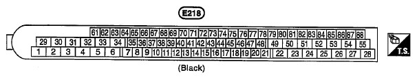 G10835954