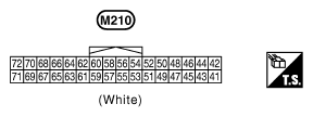 G10847059
