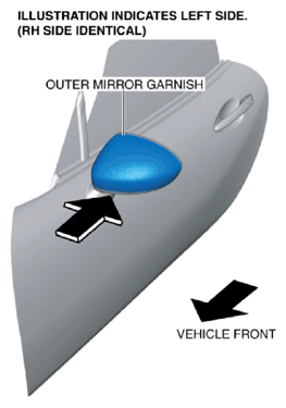 G10954164