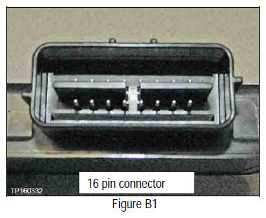G10955465