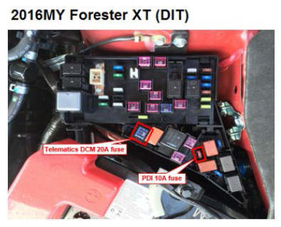 G10979724