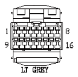 G11013665