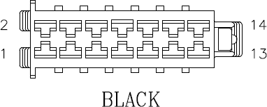 G11027904