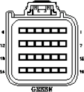 G11028643