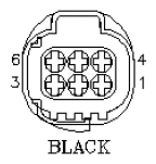 G11029019