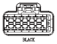 G11029323
