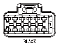G11029326