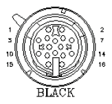 G11036236