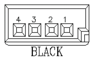 G11036311