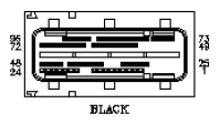 G11039485