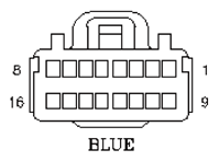 G11049316