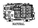 G11051534