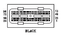 G11053680