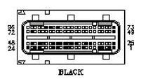 G11053681