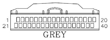 G11061604