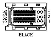 G11061863