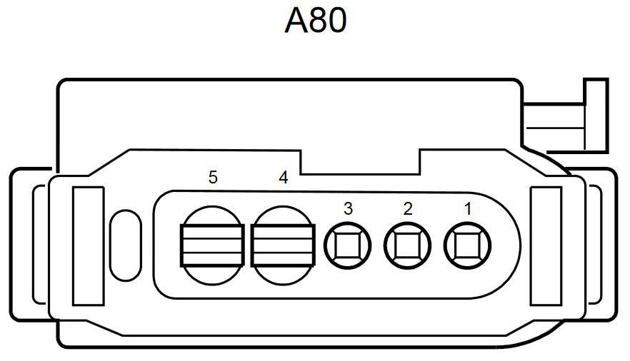G11064446