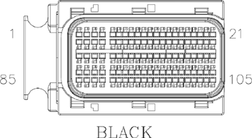 G11075386