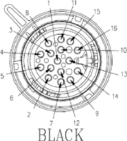 G11075541