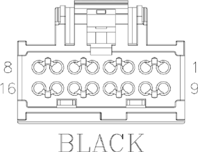 G11075907