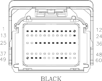 G11076084