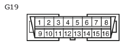 G11133808
