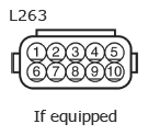 G11135488