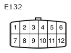 G11136561