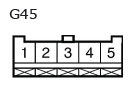 G11136635