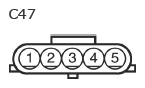 G11136806