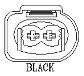 G11140691