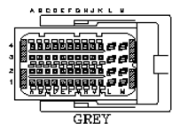 G11141921