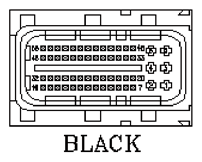 G11142244