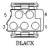 G11142494