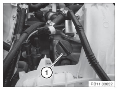 G11144230