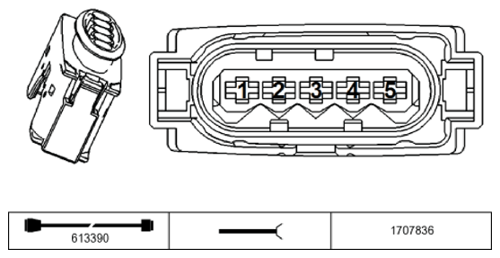 G11196007