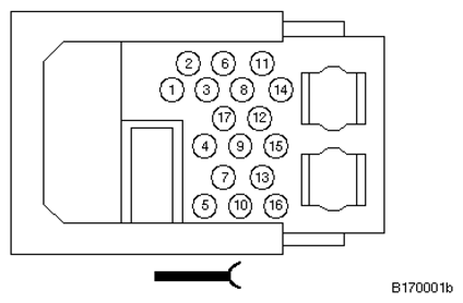 G11228437