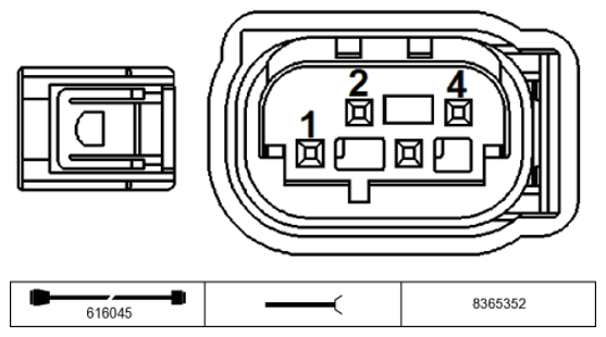 G11229054