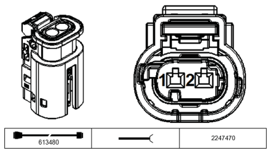 G11229061
