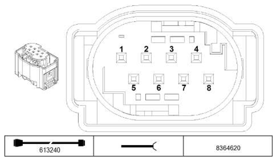 G11229811