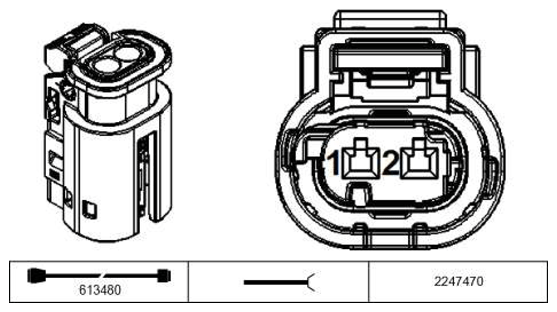 G11229834