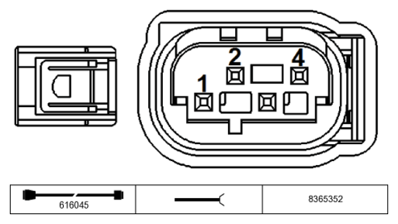 G11231077
