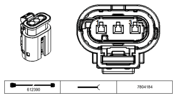 G11231240